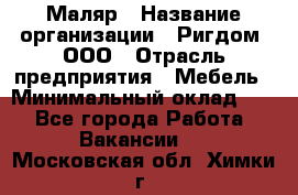 Маляр › Название организации ­ Ригдом, ООО › Отрасль предприятия ­ Мебель › Минимальный оклад ­ 1 - Все города Работа » Вакансии   . Московская обл.,Химки г.